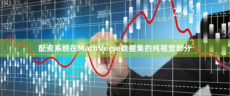 配资系统在MathVerse数据集的纯视觉部分