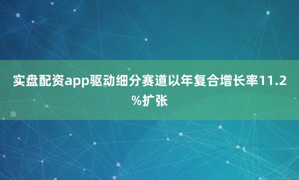 实盘配资app驱动细分赛道以年复合增长率11.2%扩张